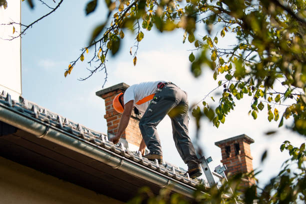 Best Storm Damage Roof Repair  in Douglas, WY