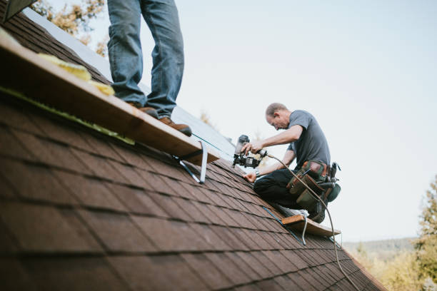 Best Metal Roofing Contractor  in Douglas, WY